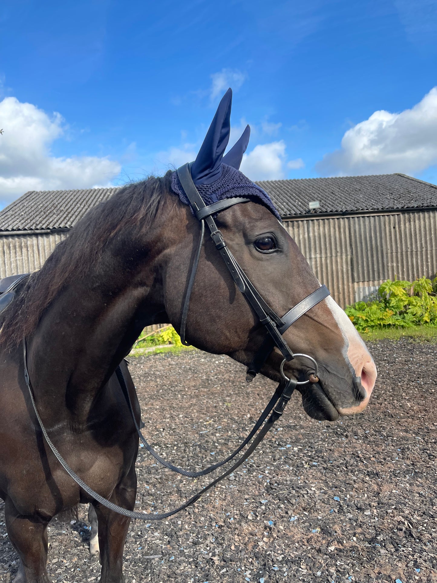 Bel Cavallo Fly Bonnet