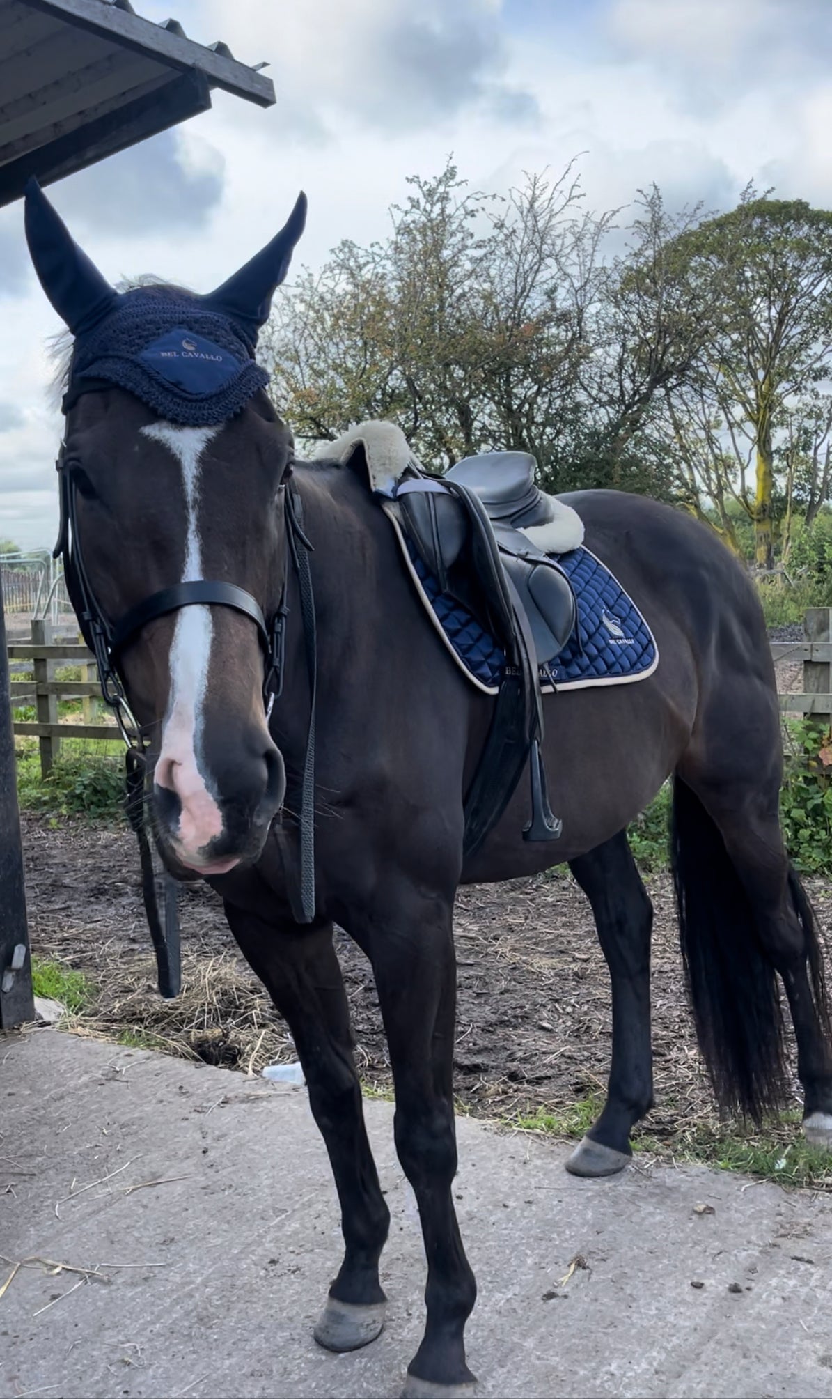 Bel Cavallo Full Saddle Pad